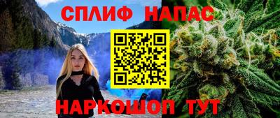 стаф Севастополь